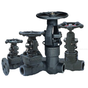 Forged Valves