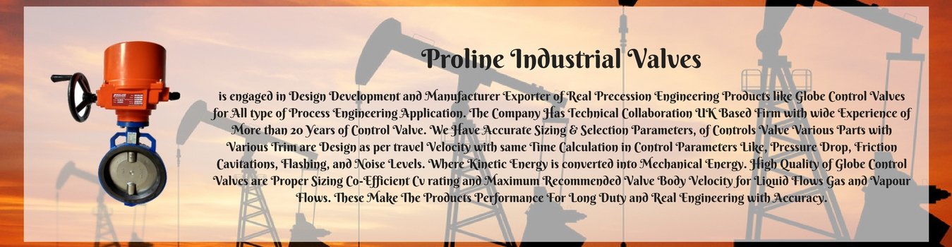 Proline-Industrial-Valves-3 Valve Manufacture India